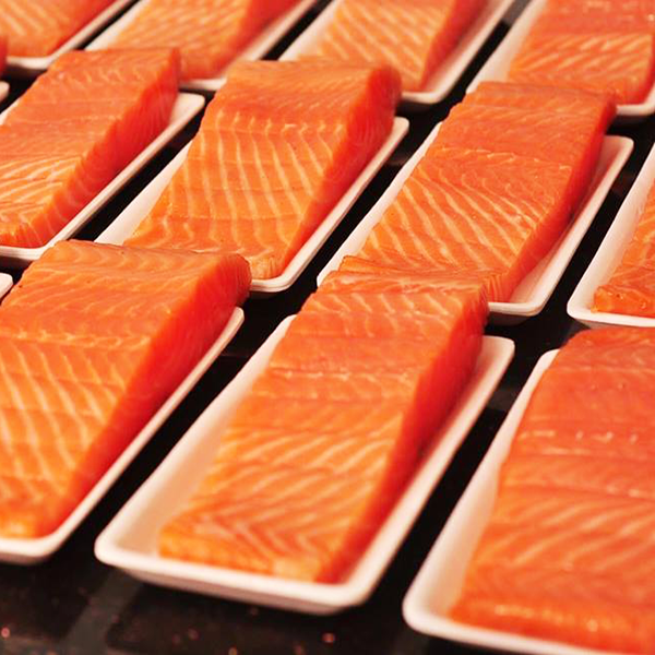 Nguồn Hàng Cá Hồi PhiLe Giá Rẻ