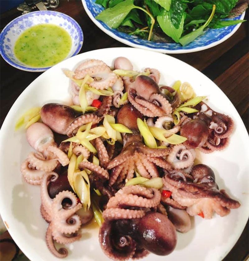 Sỉ - Lẻ Bạch Tuộc Sữa