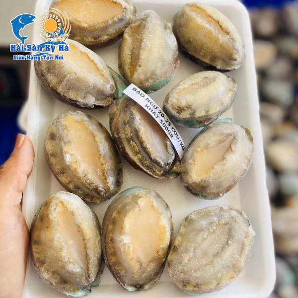 Chuyên Cung Cấp Bào Ngư Giá Rẻ