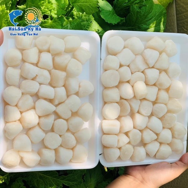 Cồi Điệp Nhật Bản Mua Ở Đâu