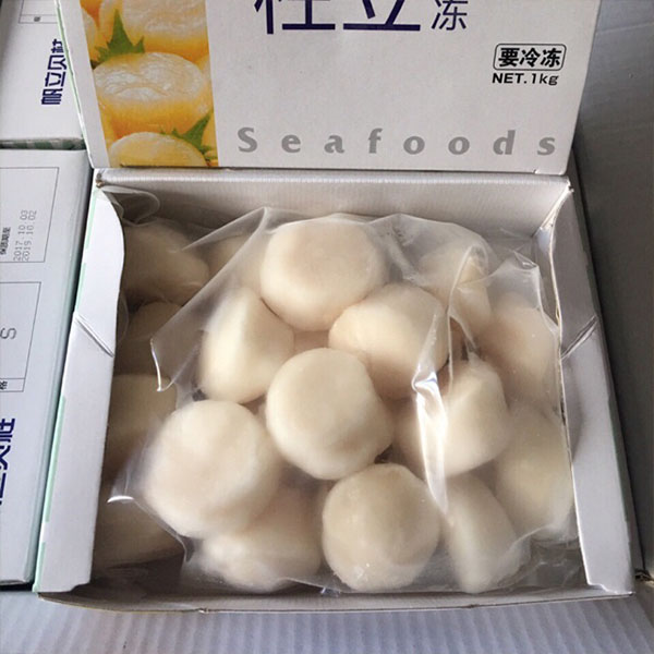 Địa điểm bán sĩ và lẻ Sò Điệp Nhật Bản sashimi