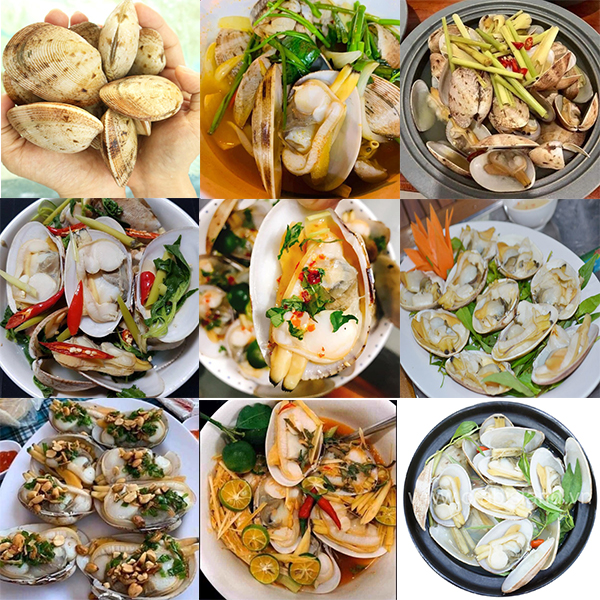 10 Món Ăn Ngon Làm Từ Ngao 2 Cồi