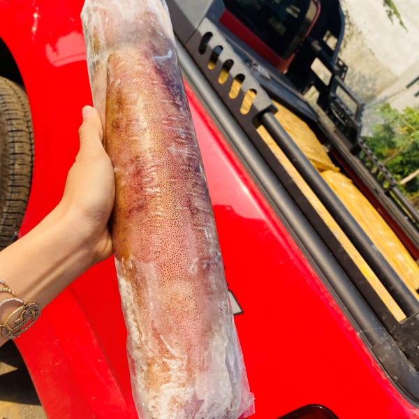 Cách Lựa Chọn Mực Lá Đại Ngon Nhất Hiện Nay