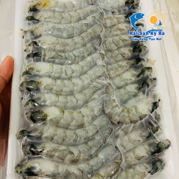 Thịt Tôm Thẻ Size Lớn