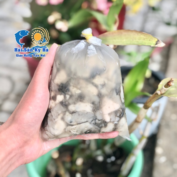 Thịt Hàu Sữa Giá Rẻ
