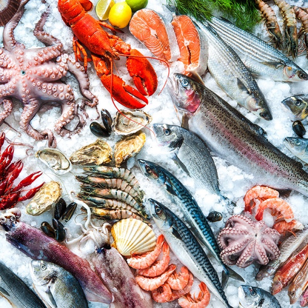 Mua Thực Phẩm Sạch - Miễn Phí Ship - Giao Hàng Tận Nơi