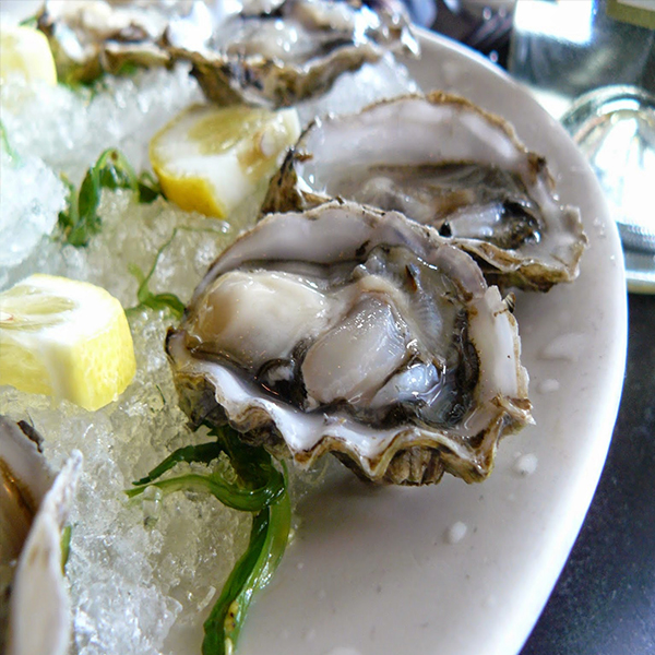 Hàu Sữa Sống Nhúng Chanh Và Hàu Sữa Né