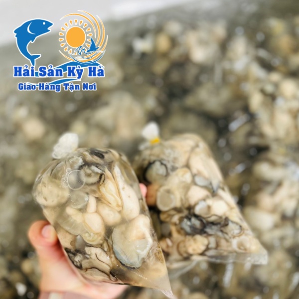 Tại Sao Ăn Hàu Lại Tăng Sinh Lý