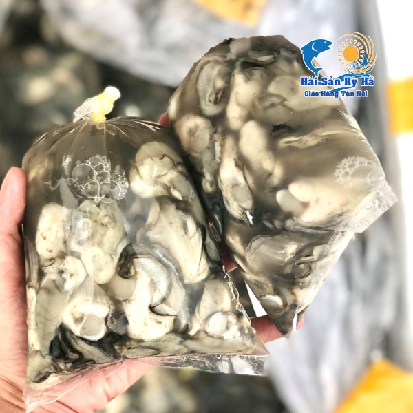 Mình Chuyên Bán Sỉ Lẻ Ruột Hàu