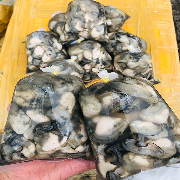 Mua Ruột Hàu Sữa Giao Tận Nơi