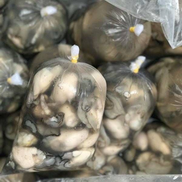 Lợi Ích Từ Ruột Hàu Sữa - Thơm Ngon Bổ Dưỡng