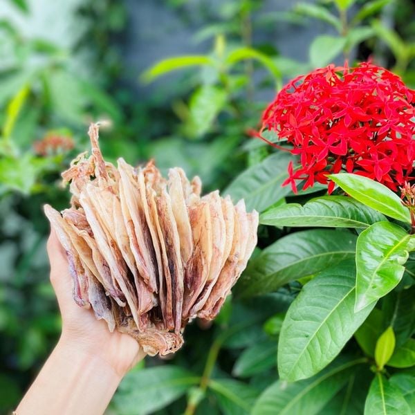 Dinh Dưỡng Từ Mực Mini