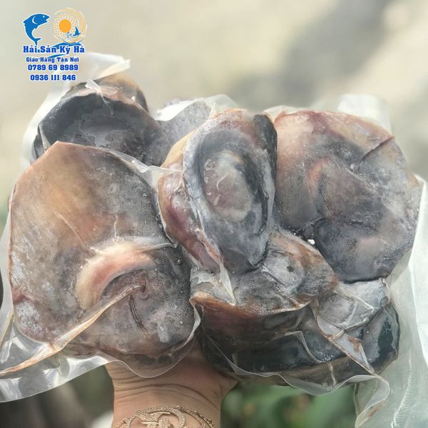 Mắt Cá Ngừ Đại Dương