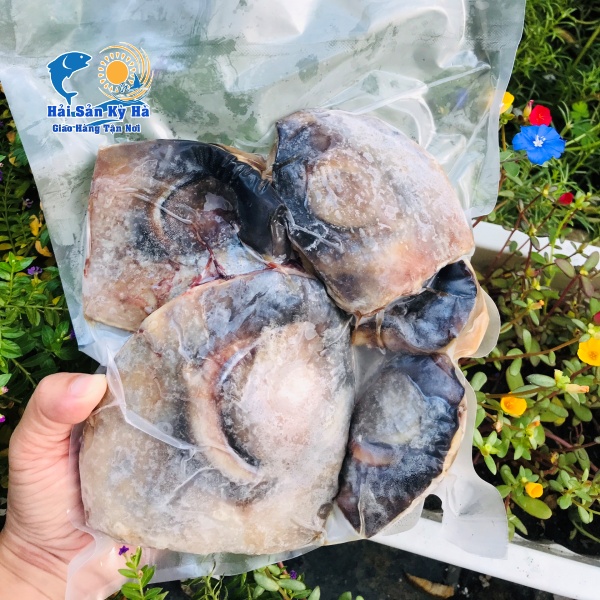 Sỉ - Lẻ Mắt Cá Ngừ Đại Dương