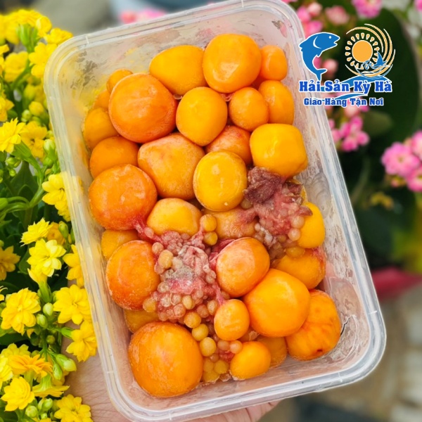 Địa Chỉ Mua Trứng Gà Non