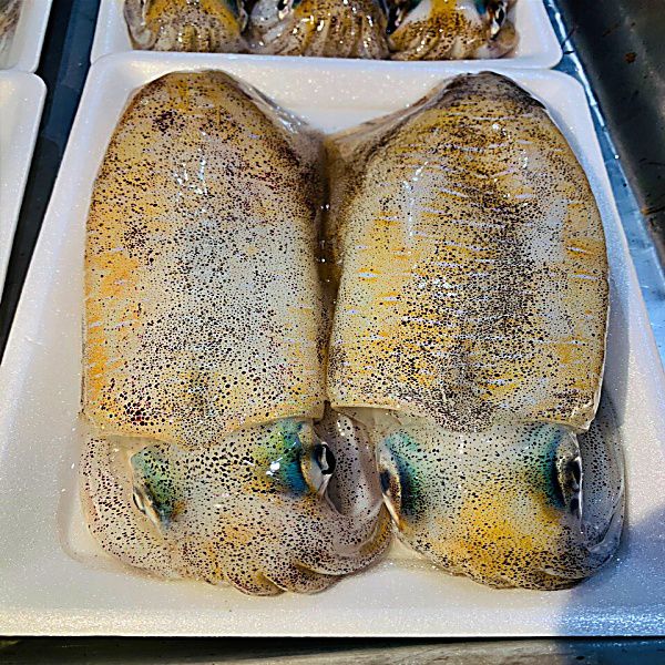 mua mực lá câu ở đâu ngon