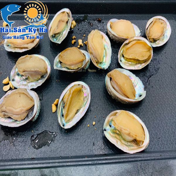 Nõn Bào Ngư Sản Phẩm Cao Cấp Thượng Hạng