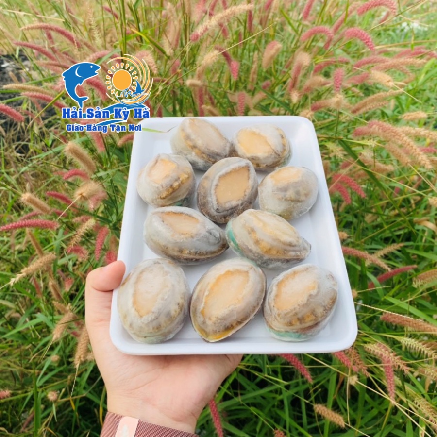 Địa Chỉ Bán Bào Ngư Giá Rẻ