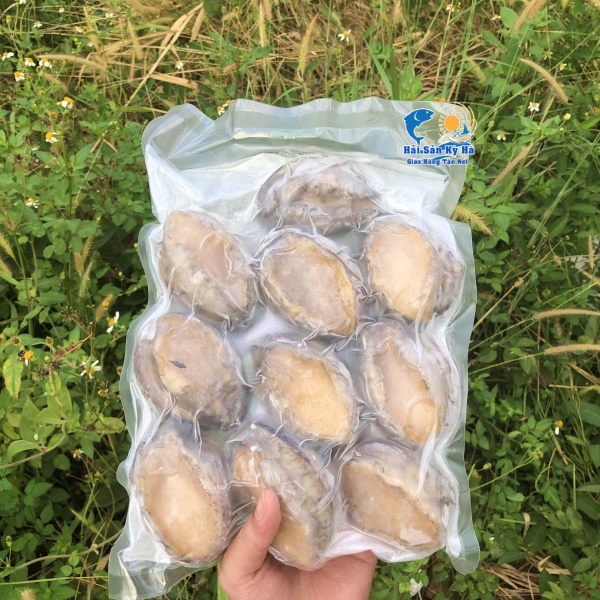 Bào Ngư Sử Dụng Như Thế Nào ?