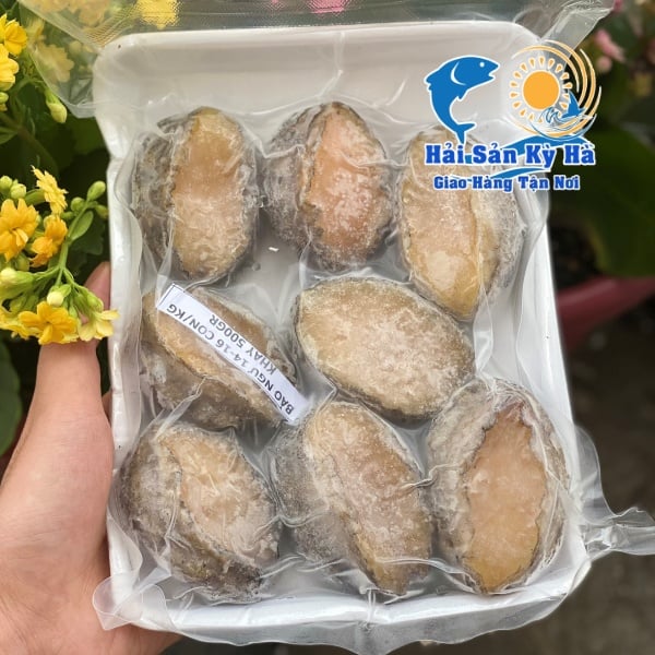 Mua Bán Bào Ngư Giá Rẻ