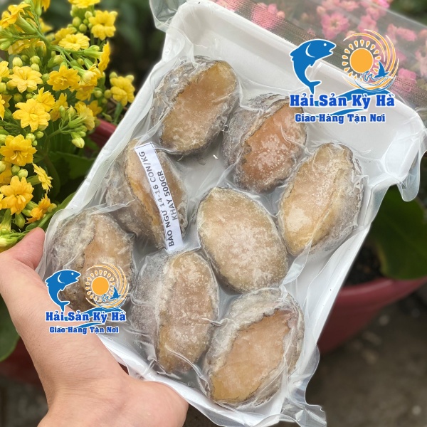 Sỉ - Lẻ Bào Ngư 14-16 con