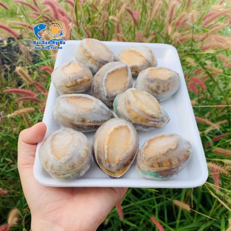 Mua Nõn Bào Ngư Địa Chỉ Quận Bình Tân