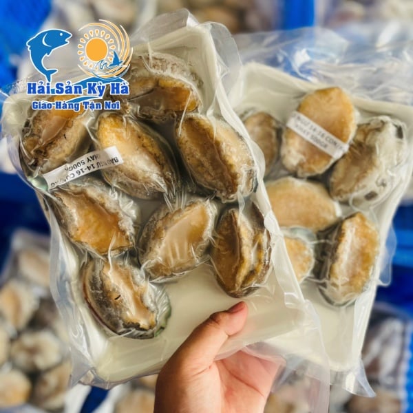 Mua Bào Ngư Giá Rẻ