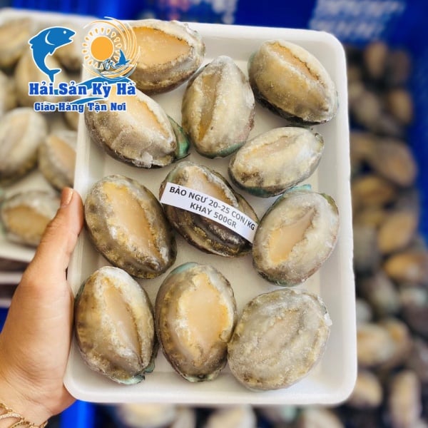 Mua Bào Ngư Ở Đâu