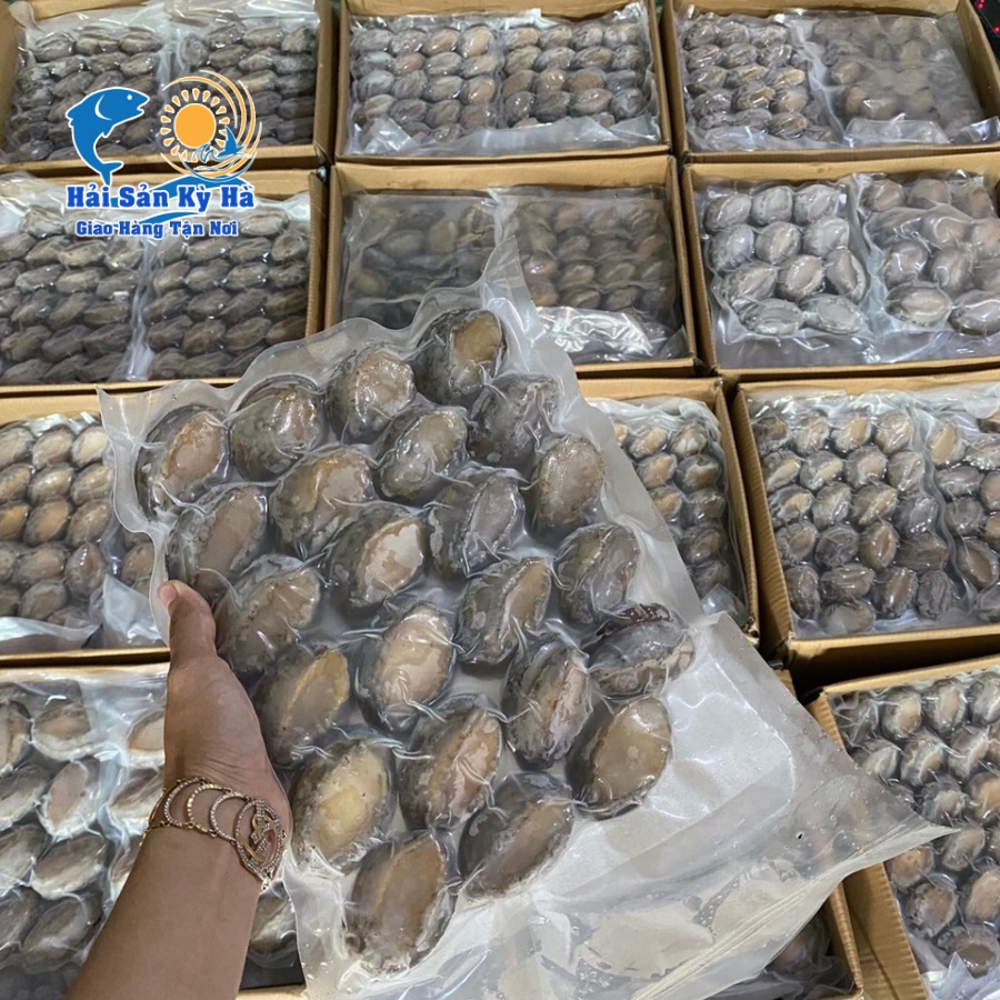 Bào Ngư Hàn Quốc Cao Cấp
