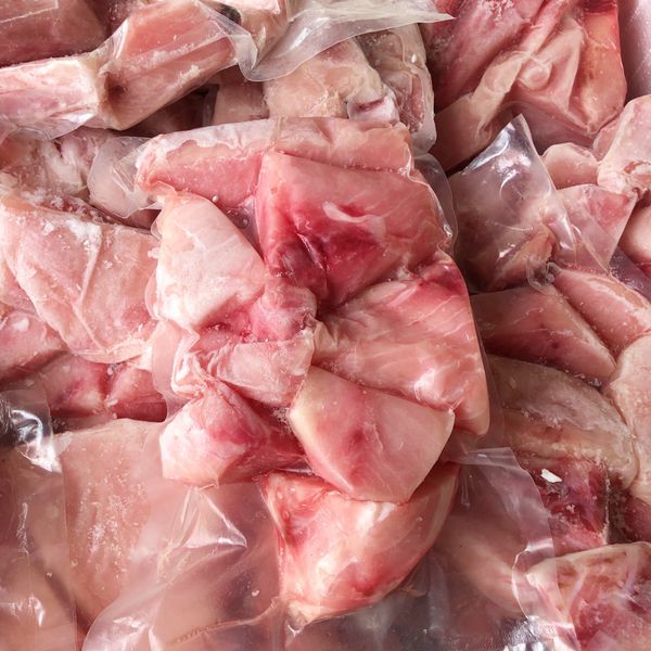 Mua Cá Cờ Kiếm - Cá Cờ Kiếm PhiLe