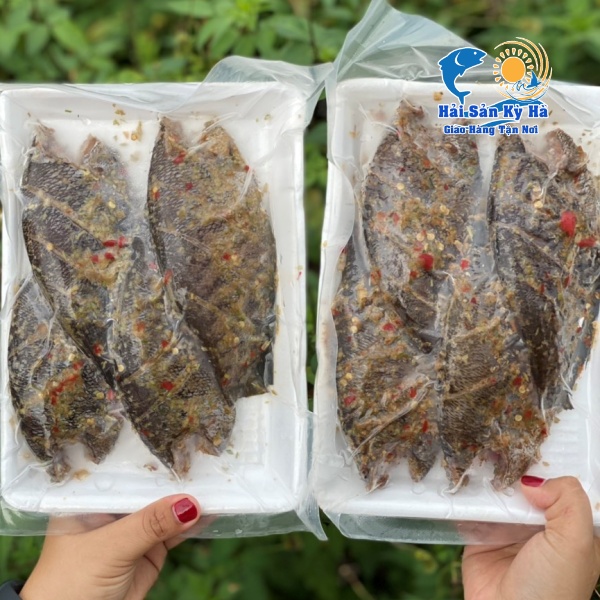 Chuyên Cung Cấp Cá Sặc Sả Ớt