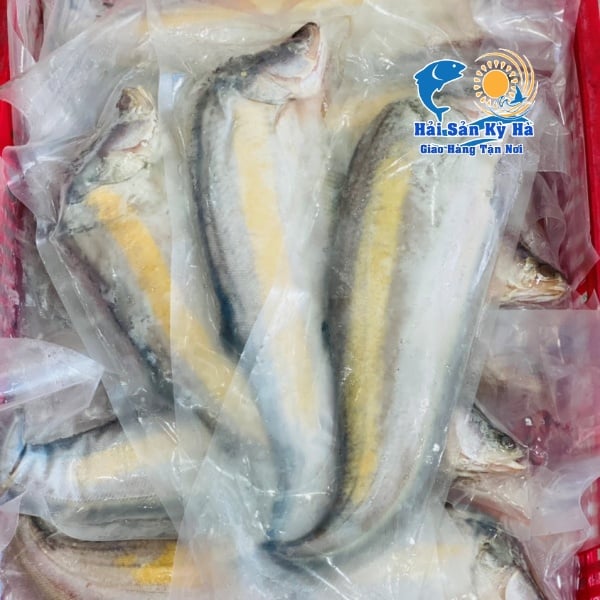 Sỉ - Lẻ Cá Thác Lác Trứng Muối