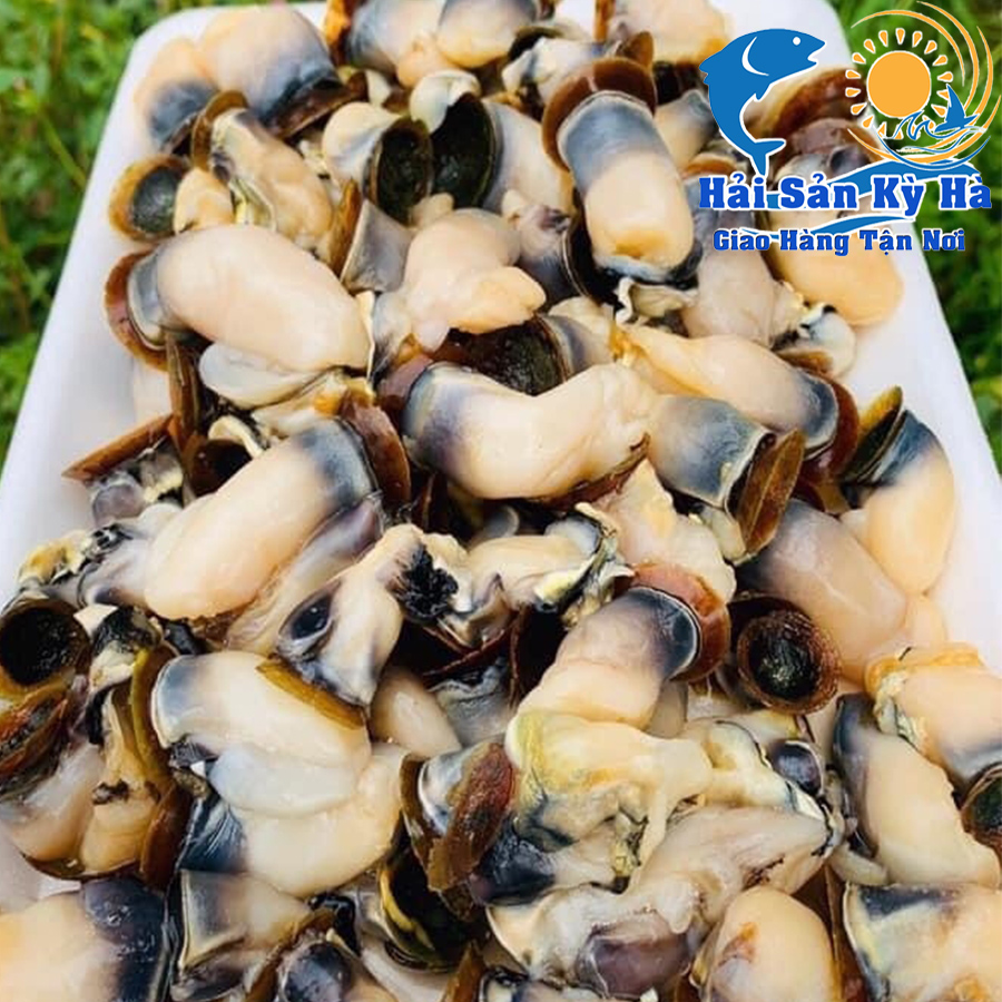 Thực Sự Cồi Hàu Điếu Có Ngon Như Lời Đồn - Bí Mật Từ Cồi Hàu Điếu