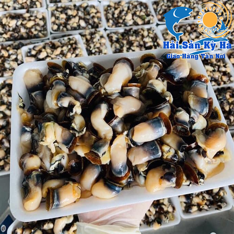 Tăng cường sinh lực mỗi đêm từ món ăn cồi hàu điếu