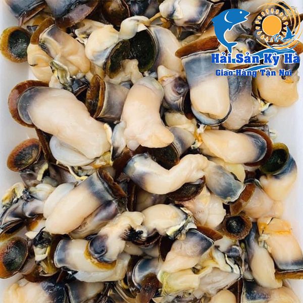 Công dụng của cồi hàu điếu