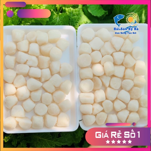 Cồi Điệp Nhật Bản