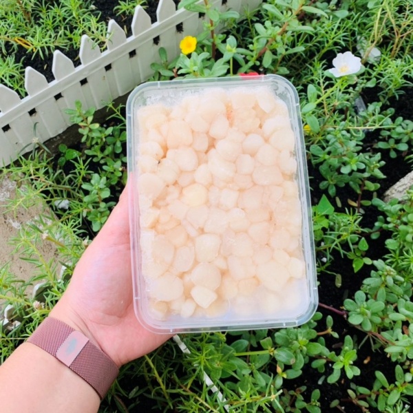 Cồi Sò Mai Bao Ngon