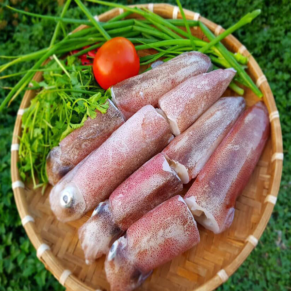 Thành Phần Dinh Dưỡng Của Mực Ống