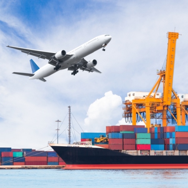 Mua Hải Sản Ngon Nhất Tại TP.HCM