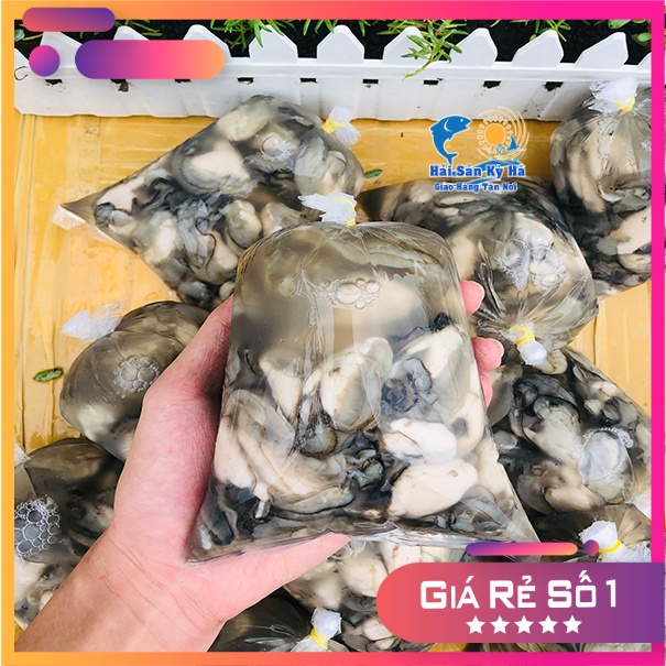 Chuyên Cung Cấp Ruột Hàu Sữa Pháp Giá Sỉ