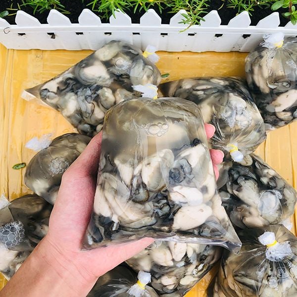 Hàu Sữa Pháp Thơm Ngon Bổ Dưỡng