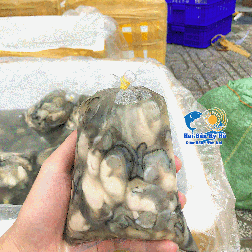 Mua Ruột Hàu Sữa ở đâu tại Tp HCM