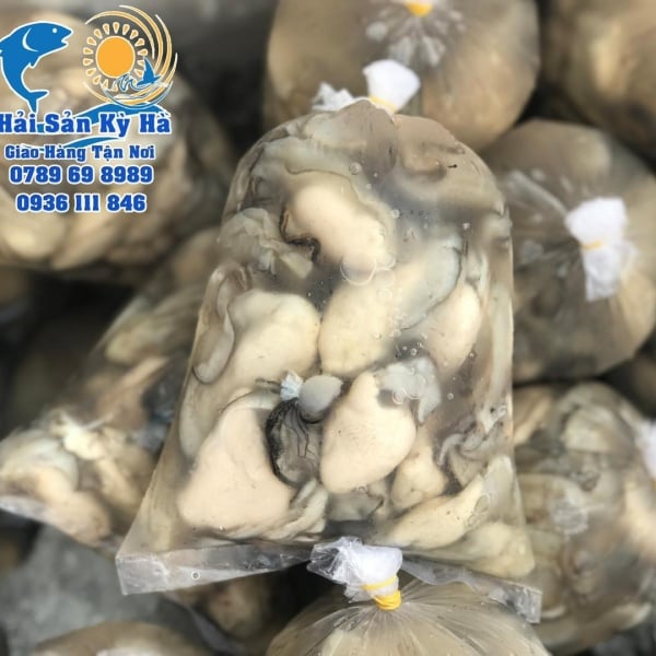 1 Kg Ruột Hàu Sữa Pháp Bao Nhiêu Tiền