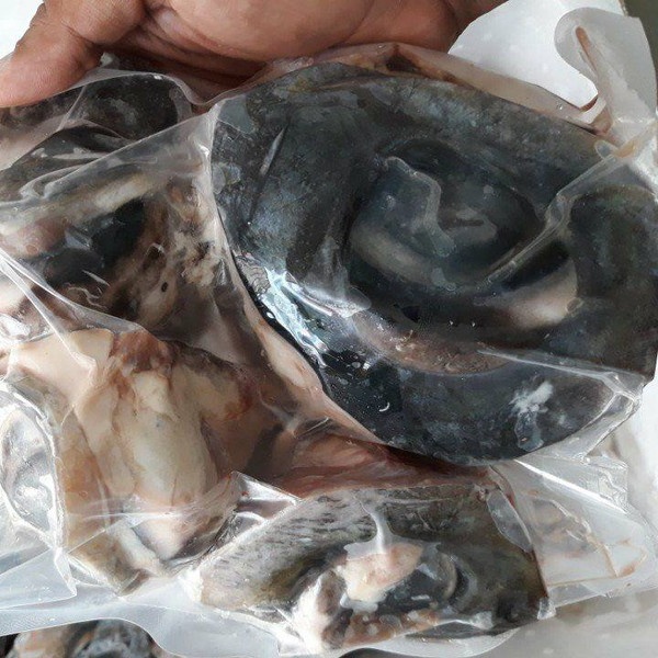 Mắt Cá Ngừ Những Điều Cần Biết