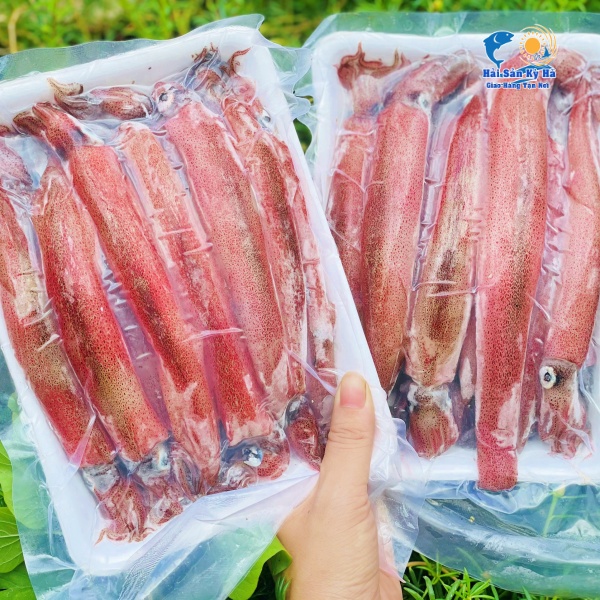 Mực Ghim Trứng Là Gì