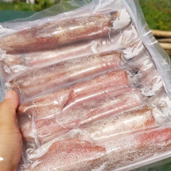 Dinh Dưỡng Từ Mực Ống