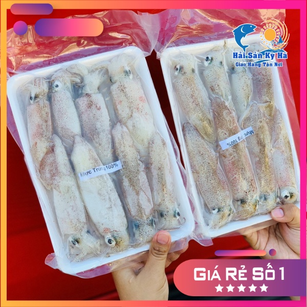 Mực Trứng Mino Lớn 2-3 con Mua Ở Đâu