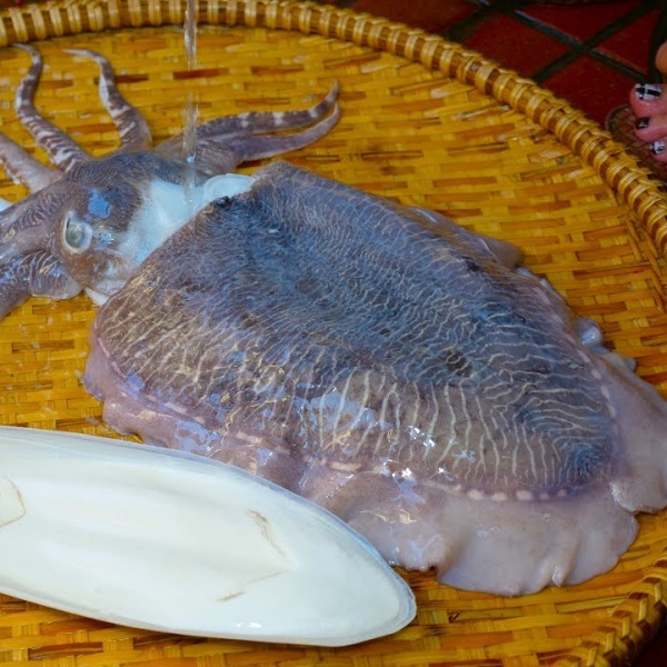 Ăn Mực Có Tốt Không ?