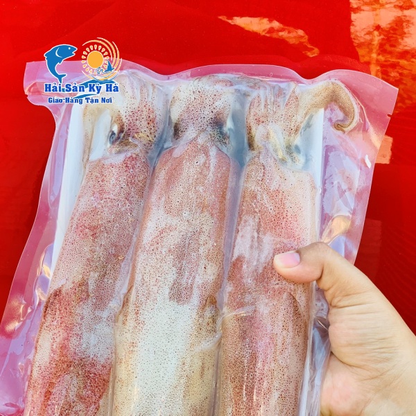 Mua Sỉ Mực Ống