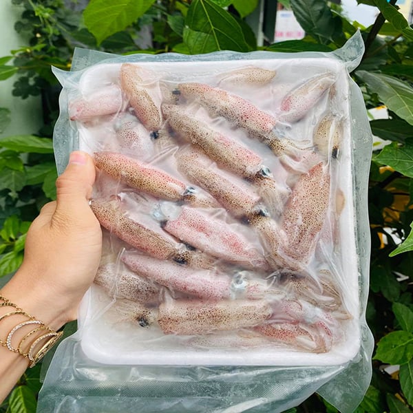 Các loại Mực Hiện Nay